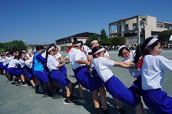 DSC09659