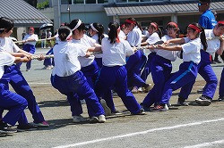 DSC09746