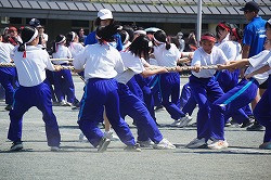 DSC09763