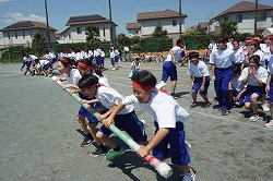 DSC01696