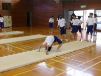 1C