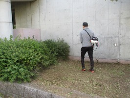 IMG_3688