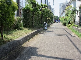 IMG_3722