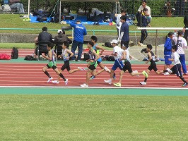 IMG_4513