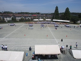 IMG_5205