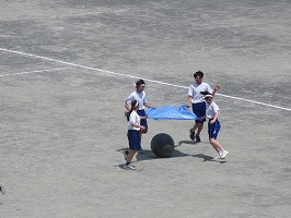 IMG_5231