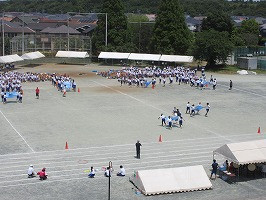 IMG_5242
