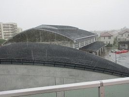 IMG_5358