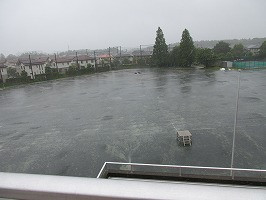 IMG_5355