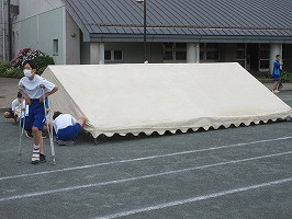 IMG_5367