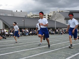 IMG_5511