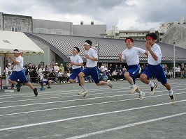 IMG_5520