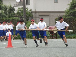 IMG_5531