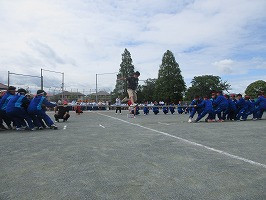 IMG_6084