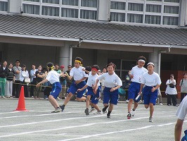 IMG_6287