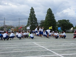 IMG_6333