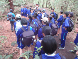 IMG_8586