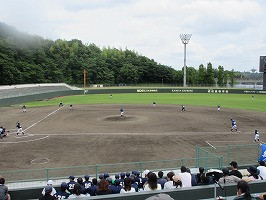 IMG_9599