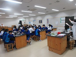 IMG_9700
