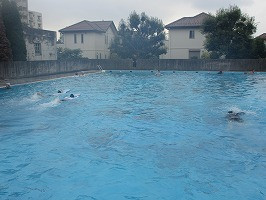IMG_0967