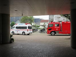 IMG_1005