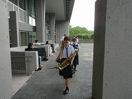 IMG_3137
