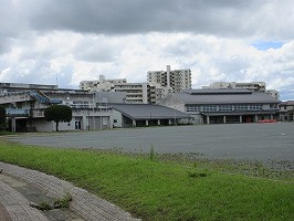 IMG_3281