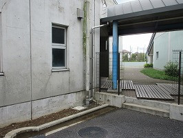 IMG_3291