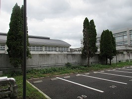 IMG_3299