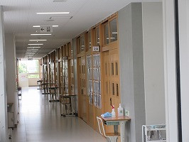 IMG_3831