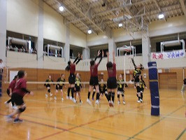 IMG_4187