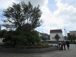 IMG_4411