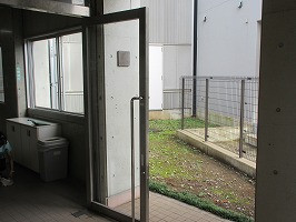 IMG_4867