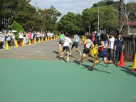 IMG_5312